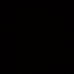 Meet your Posher, Darlena